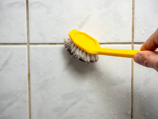Best Best Mold Removal Companies  in Pleasanton, KS