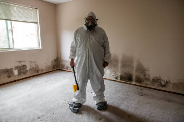 Best Commercial Mold Removal  in Pleasanton, KS